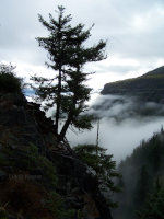 Misty Canyon