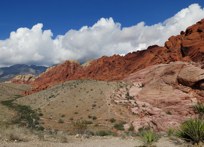 Red Rocks