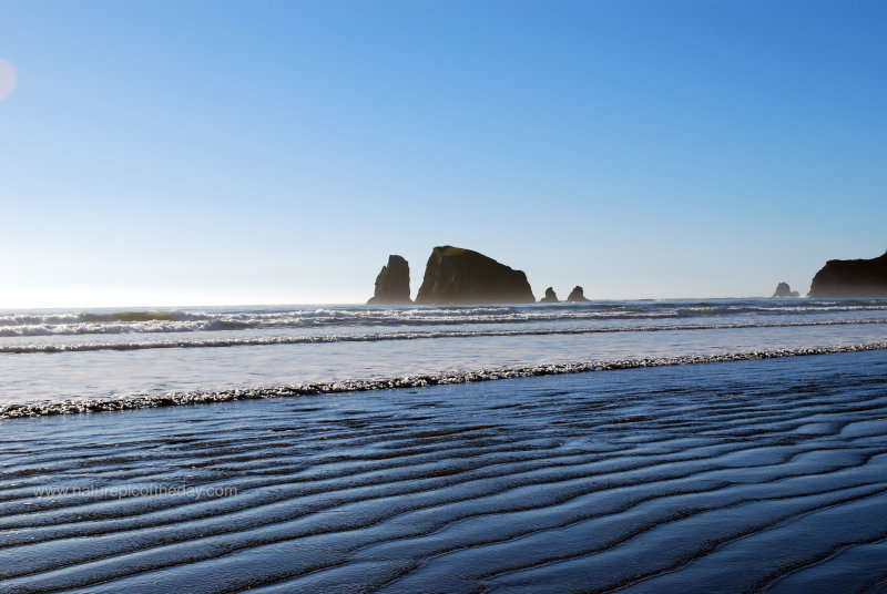 Beach in Washington