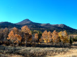 Fall in the High Sierra