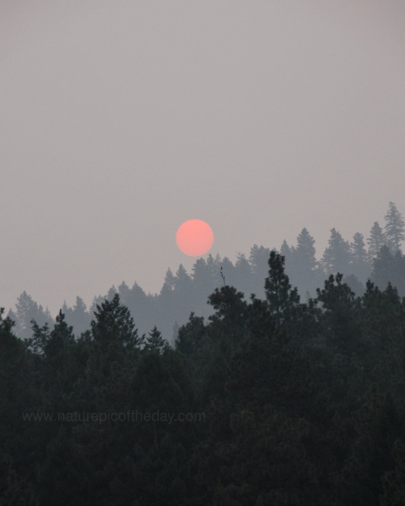 Smoke from the wildfires obscures the sun enough to see it