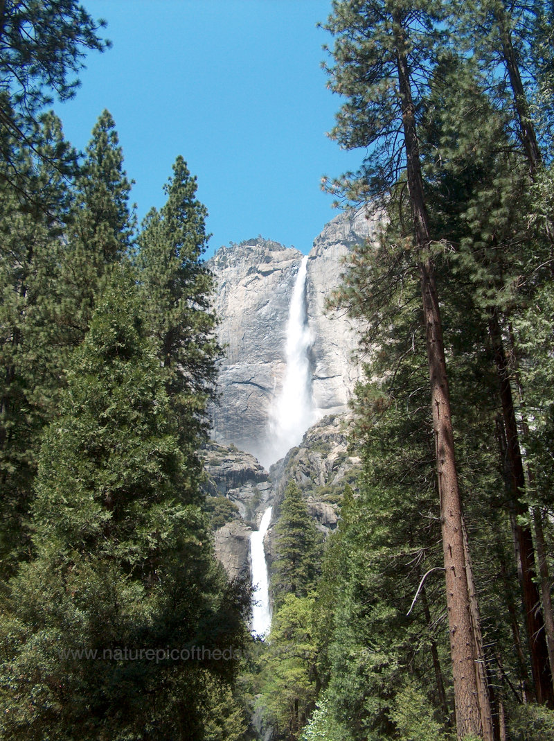 Yosemite Falls in Yosemite National Park