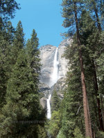 Yosemite Falls in Yosemite National Park