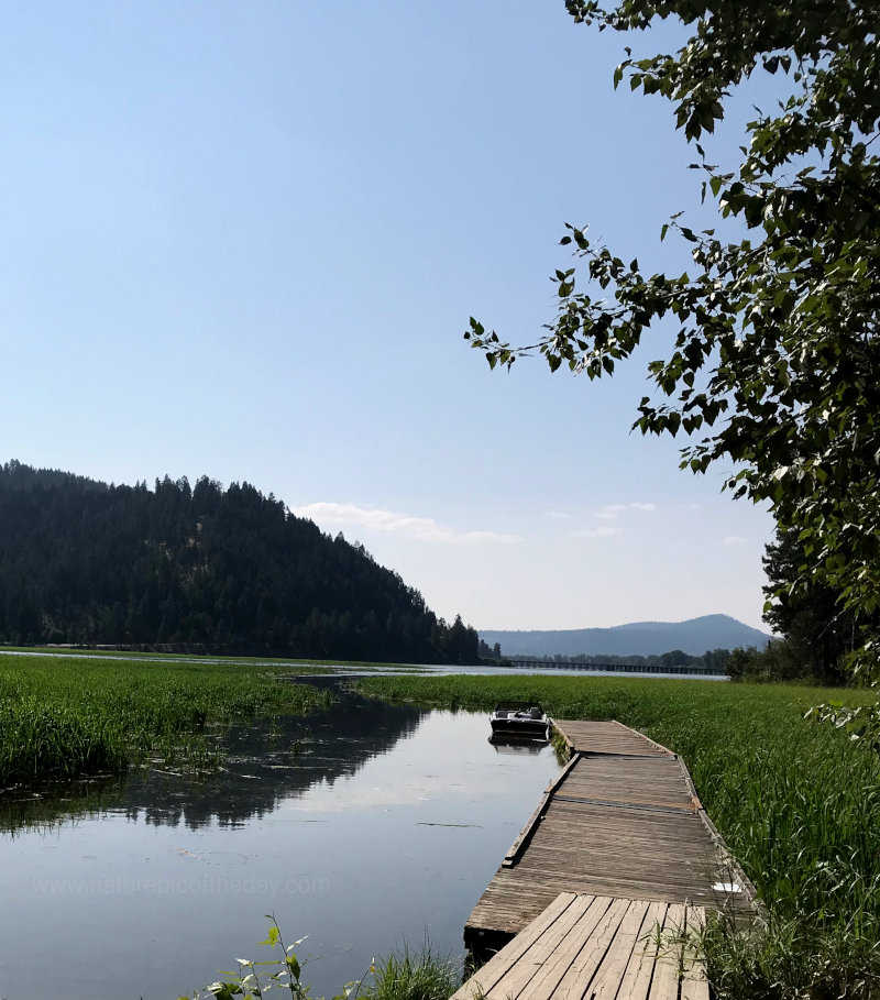 Dock in the lake.