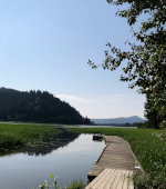 Dock in the lake.