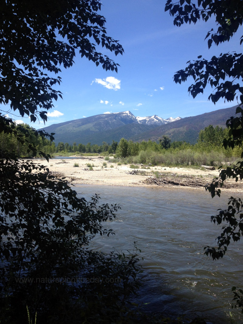 Bitterroot mountain and river.