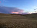 Sunrise on the Palouse