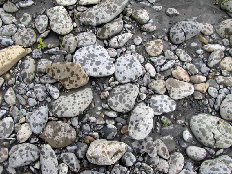 River Rock in Washington