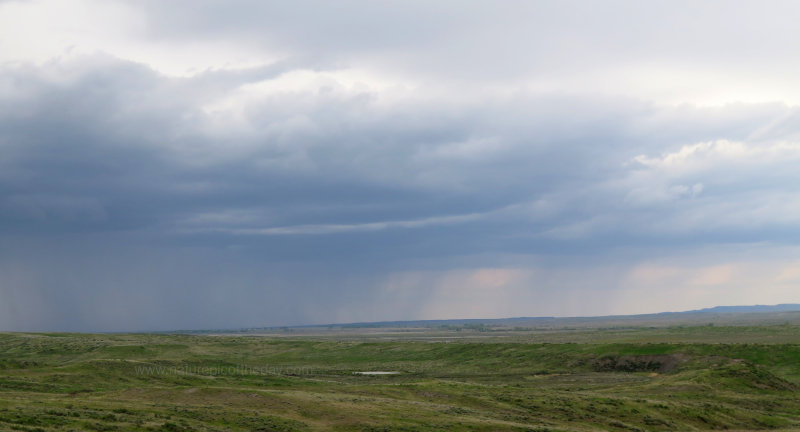 Rain on the Horizon