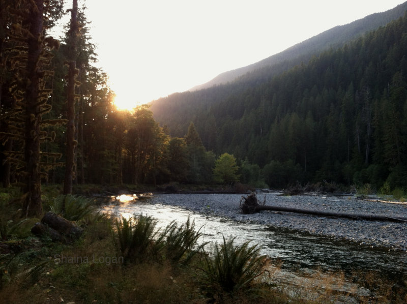 Quinualt River above Lake Quinault