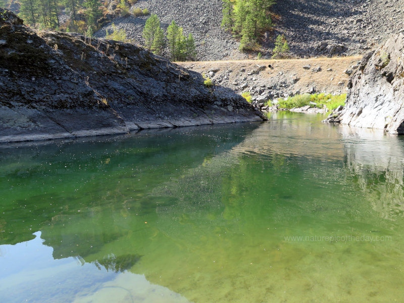 Thompson River in Montana