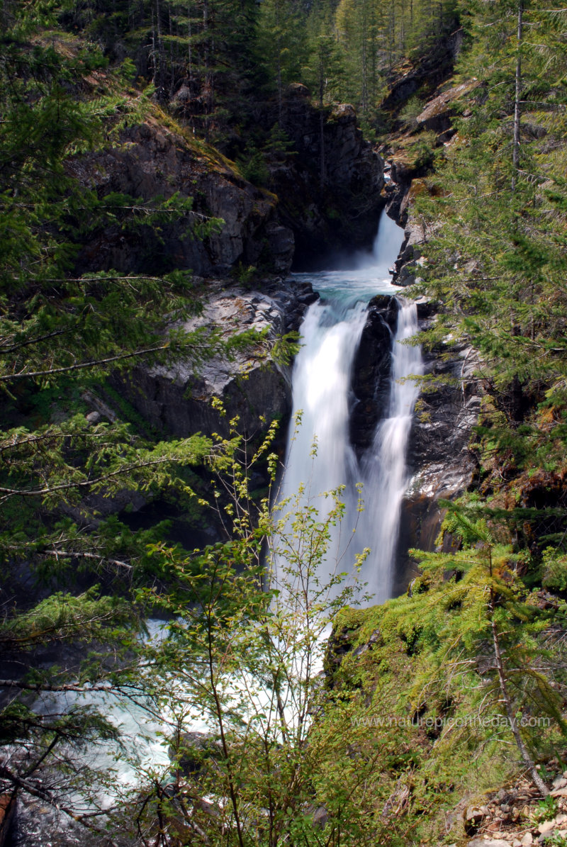 Waterfall on the Olympic Peninsula.