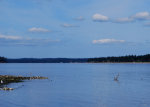 Heron Hunting in Puget Sound