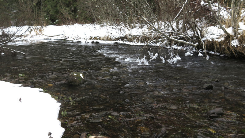 Winter Creek in Idaho