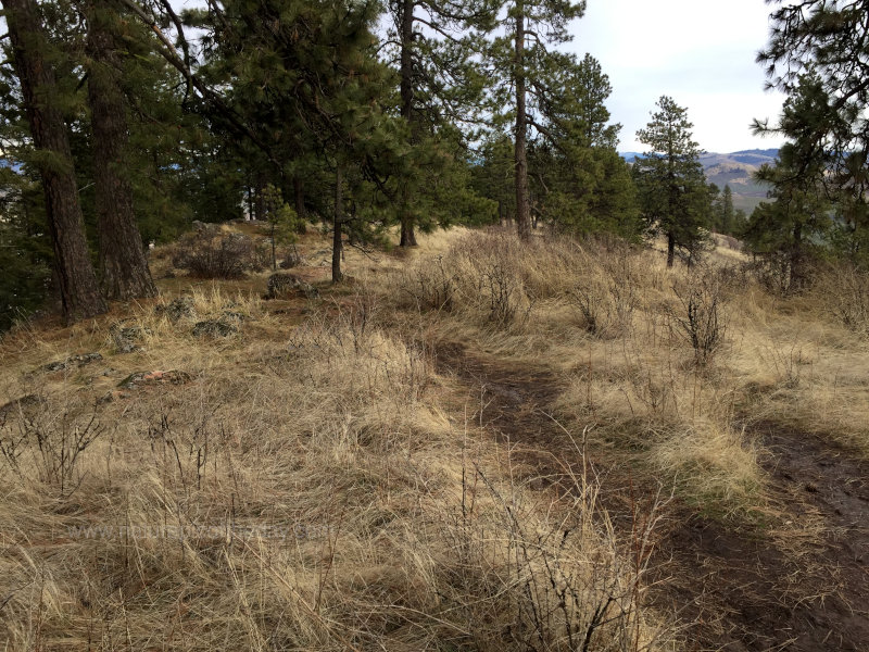 Hiking on the ridge