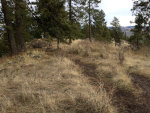 Hiking on the ridge