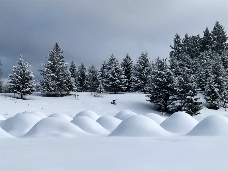 Snow covered in Whitefish, Montana