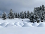 Snow covered in Whitefish, Montana