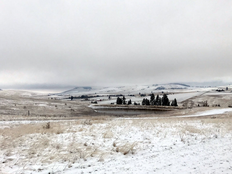 Clouds and Snow