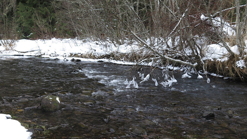 Melting Snow