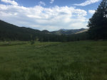 Meadow in Colorado
