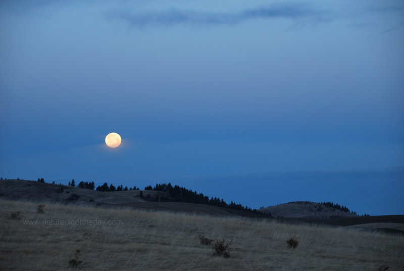 Moonset.