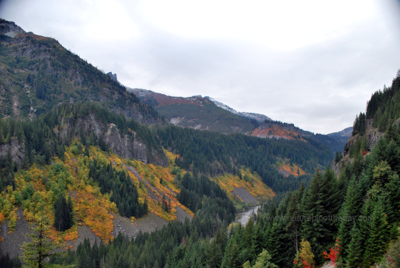 Mount Rainier National Park