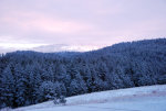 Pink light on snow