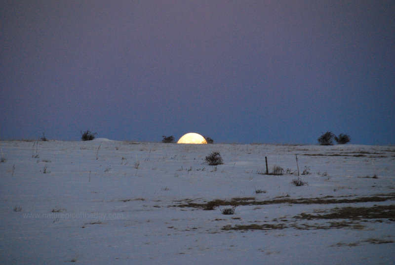 Setting Full Moon