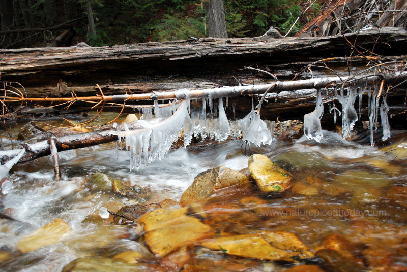 ICe on a creek