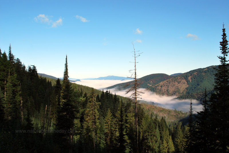 Fog in a valley.