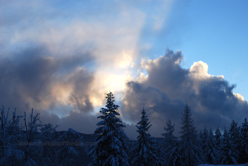 Snow in Montana