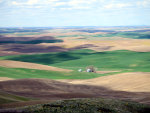 Fields in Washington