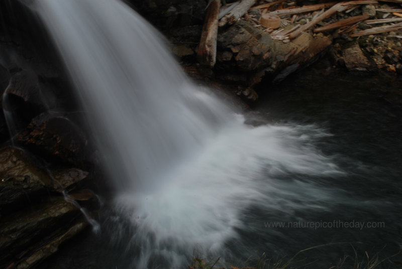 Stream in Mount Rainier National Park