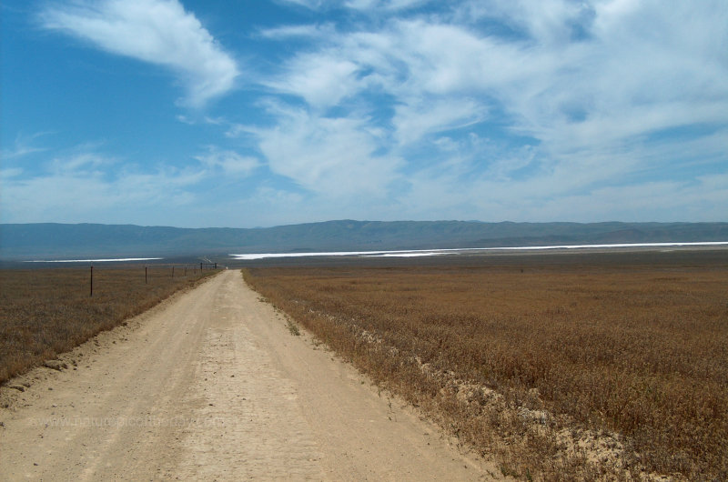 Desert road in Northern California