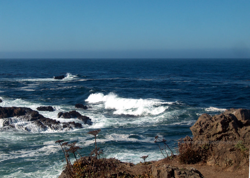 Northern California Coast