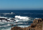 Northern California Coast