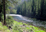 Selway River in Idaho