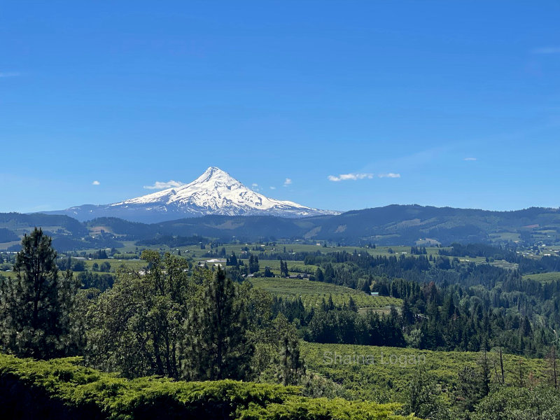 Mount Hood