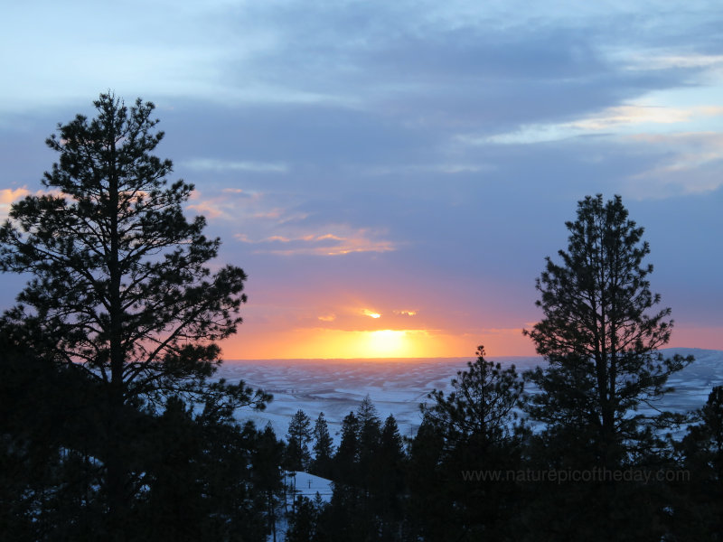 Sunset on the Palouse