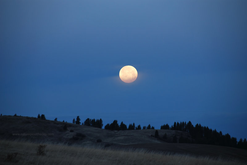 Full Moon over Idaho