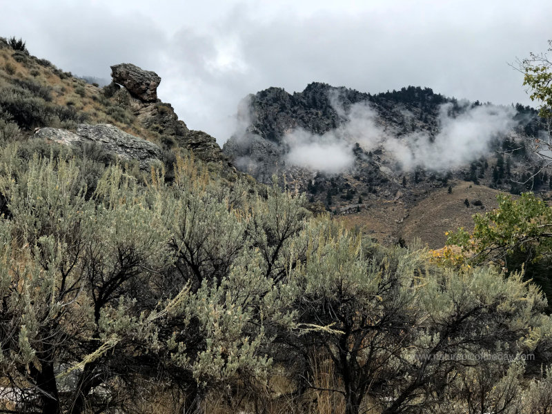 Along Warm Spring Creek in the Salmon Challis National Forest