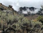 Along Warm Spring Creek in the Salmon Challis National Forest