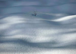 Snow covered ground in Whitefish, Montana