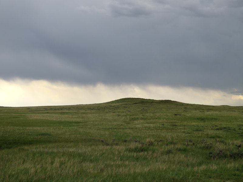 Prairie in Big Sky Country