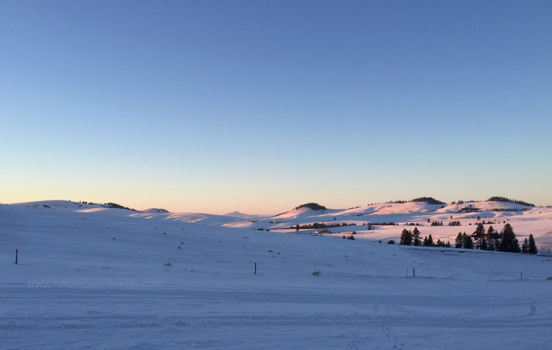 Snow covered Palouse