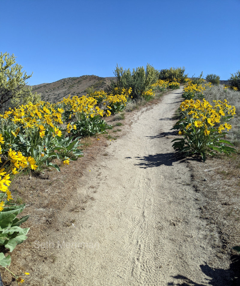 Bike trail in the foothills near Boise.