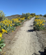 Bike trail in the foothills near Boise.