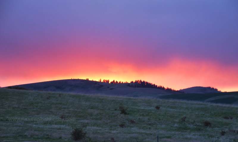 Sunset On The Palouse