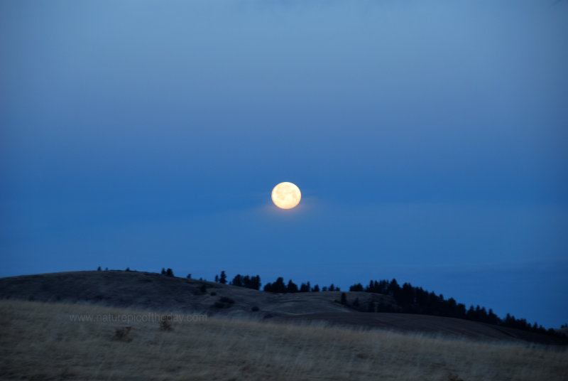 Full Moon setting